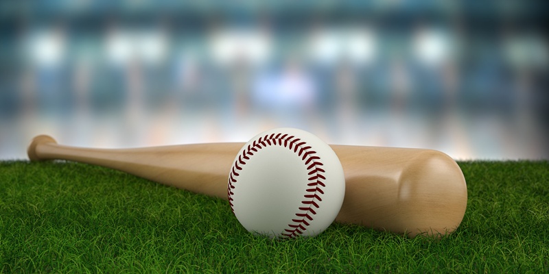 向いている人・向いていない人／購入前の注意点