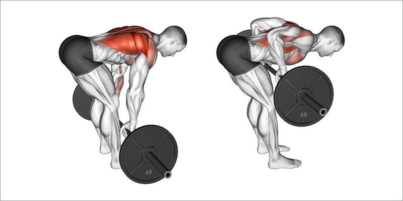 ベントオーバーロウで鍛えられる筋肉とは？