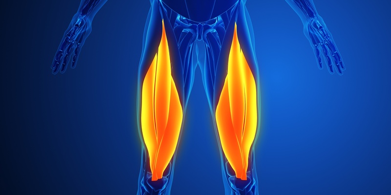 バックランジで鍛えられる筋肉