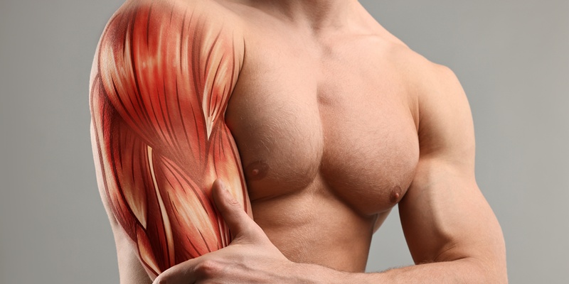 筋肉痛の原因とメカニズムを解明