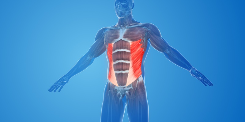 ロータリートルソーで鍛えられる筋肉