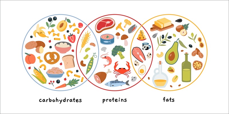 PFCバランスとは？基本を理解しよう